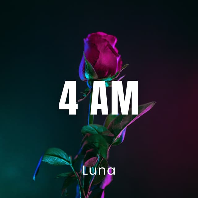 4 AM
