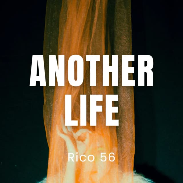 Another Life
