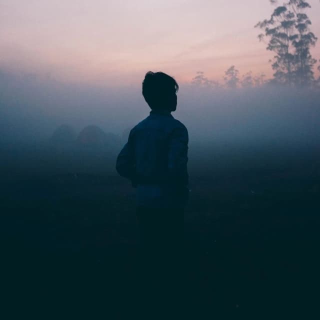 Dreamer