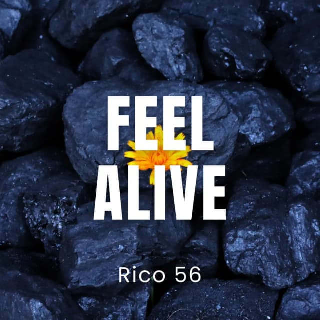 Feel Alive