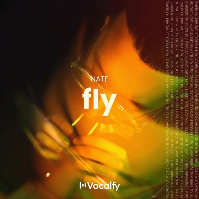 Fly