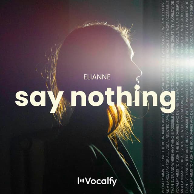 Say Nothing