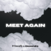 Meet Again - Expert
