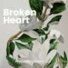 Broken Heart - Pro