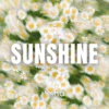 Sunshine - Pro