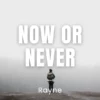 Now Or Never - Expert